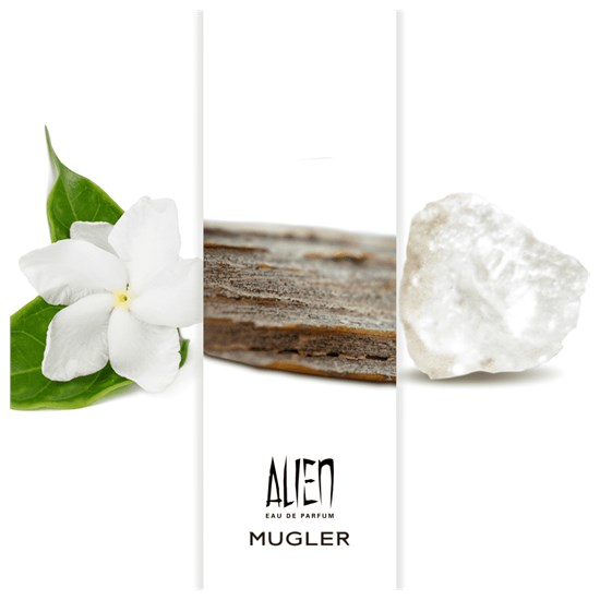 Perfume Alien - Mugler - Feminino - Eau de Parfum - 60ml