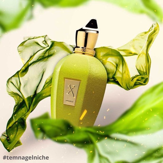 Perfume Amabile - Xerjoff - Unissex - Eau de Parfum - 100ml