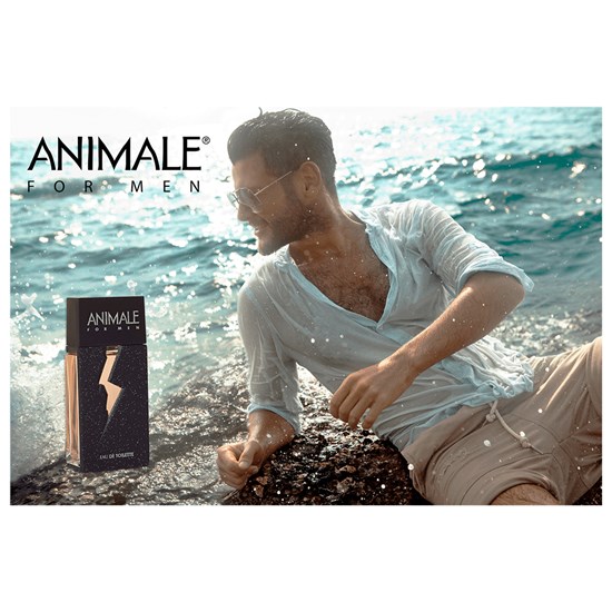Perfume Animale For Men - Animale - Masculino - Eau de Toilette - 100ml