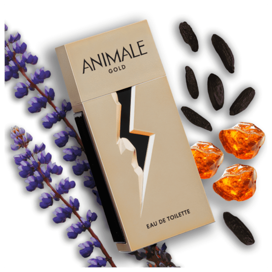 Perfume Animale Gold - Animale - Masculino - Eau de Toilette - 100ml