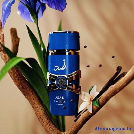 Perfume Asad Zanzibar Pocket - Lattafa - Masculino - Eau de Parfum - 10ml