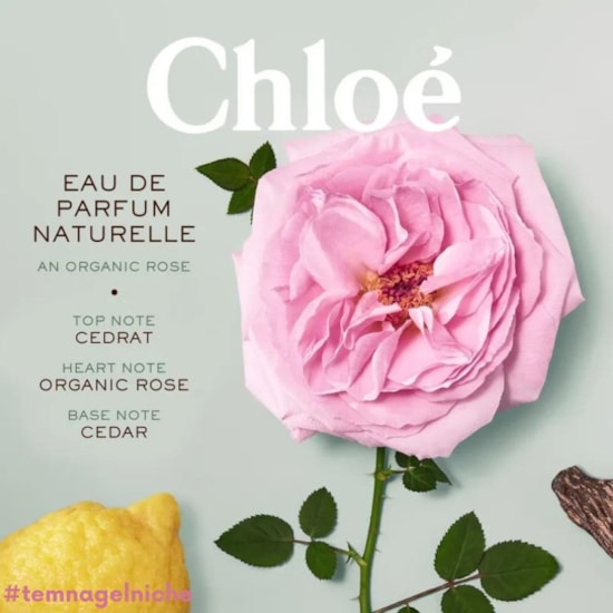 Perfume Chloé Naturelle - Chloé - Feminino - Eau de Parfum - 100ml Perfume Chloé Naturelle - Chloé - Feminino - Eau de Parfum - 100ml