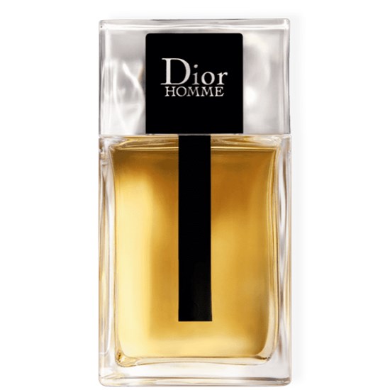 Perfume Dior Homme - Dior - Masculino - Eau de Toilette - 100ml
