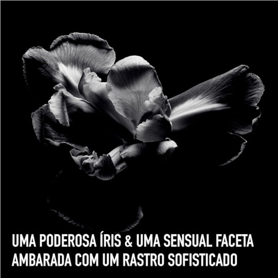 Perfume Dior Homme Intense - Dior - Masculino - Eau de Parfum - 100ml Perfume Dior Homme Intense - Dior - Masculino - Eau de Parfum - 100ml