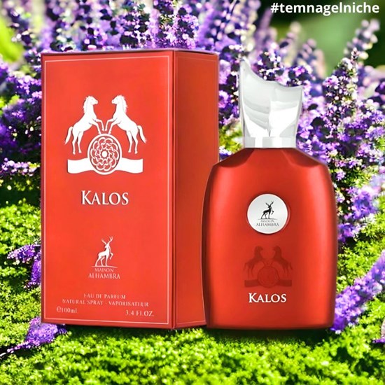 Perfume Kalos - Alhambra - Masculino - Eau de Parfum - 100ml