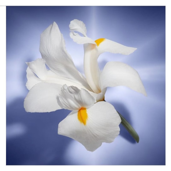 Perfume La Vie Est Belle - Lancôme - Feminino - Eau de Parfum - 30ml Perfume La Vie Est Belle - Lancôme - Feminino - Eau de Parfum - 30ml