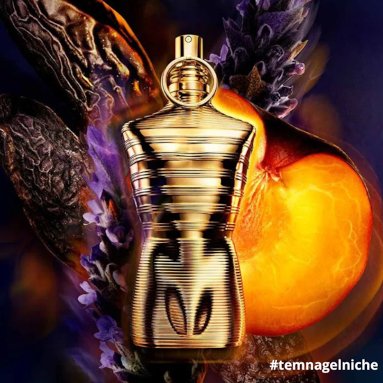 Perfume Le Male Elixir Absolu - Jean Paul Gaultier - Masculino - Parfum Intense - 75ml
