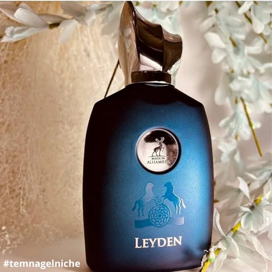 Perfume Leyden - Alhambra - Masculino - Eau de Parfum - 100ml