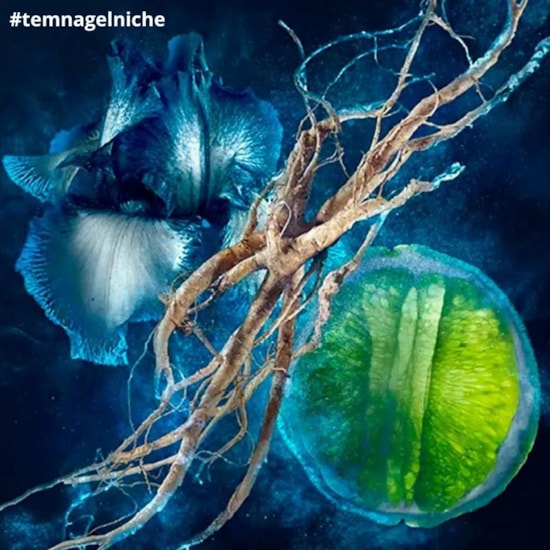 Perfume Luna Rossa Ocean - Prada - Masculino - Eau de Toilette - 150ml Perfume Luna Rossa Ocean - Prada - Masculino - Eau de Toilette - 150ml