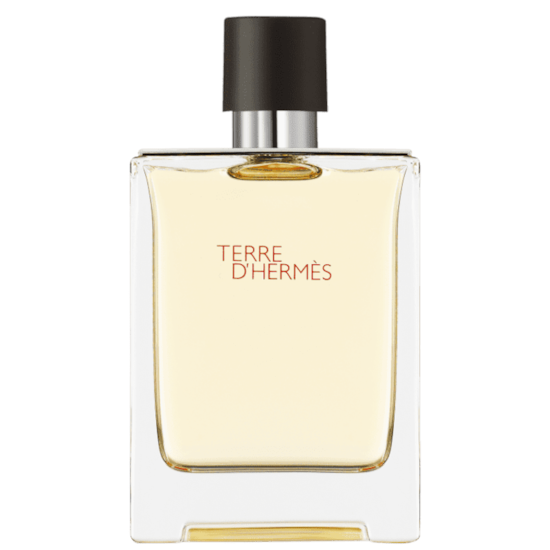 Perfume Terre d’Hermès - Hermès - Masculino - Eau de Toilette - 100ml Perfume Terre d’Hermès - Hermès - Masculino - Eau de Toilette - 100ml