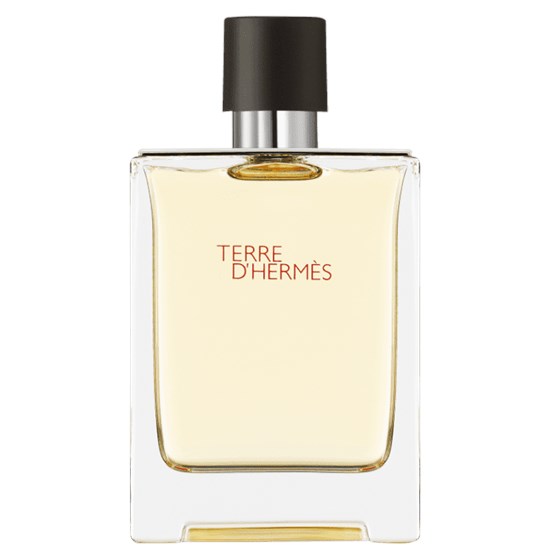 Perfume Terre d’Hermès - Hermès - Masculino - Eau de Toilette - 100ml