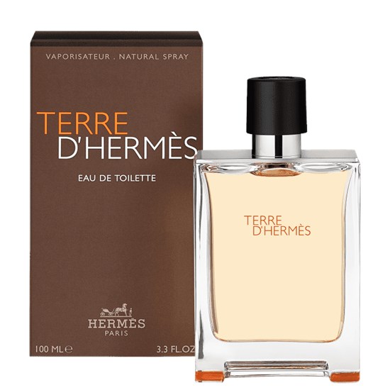 Perfume Terre d’Hermès - Hermès - Masculino - Eau de Toilette - 100ml