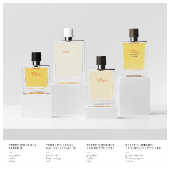 Perfume Terre d’Hermès - Hermès - Masculino - Eau de Toilette - 100ml Perfume Terre d’Hermès - Hermès - Masculino - Eau de Toilette - 100ml