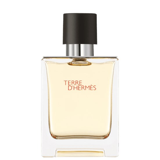 Perfume Terre d’Hermès - Hermès - Masculino - Eau de Toilette - 50ml