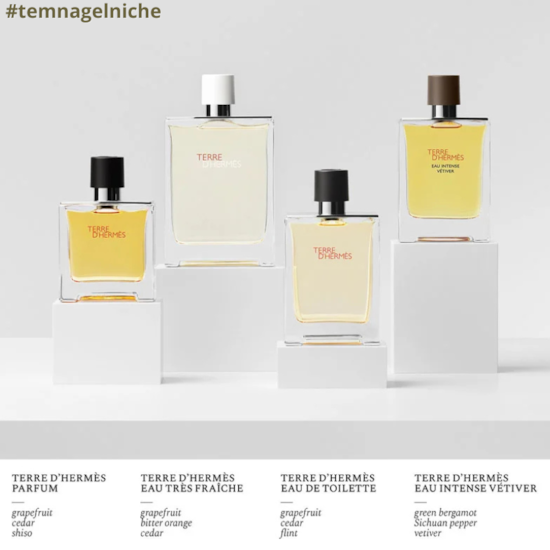 Perfume Terre d’Hermès - Hermès - Masculino - Pure Parfum  - 200ml
