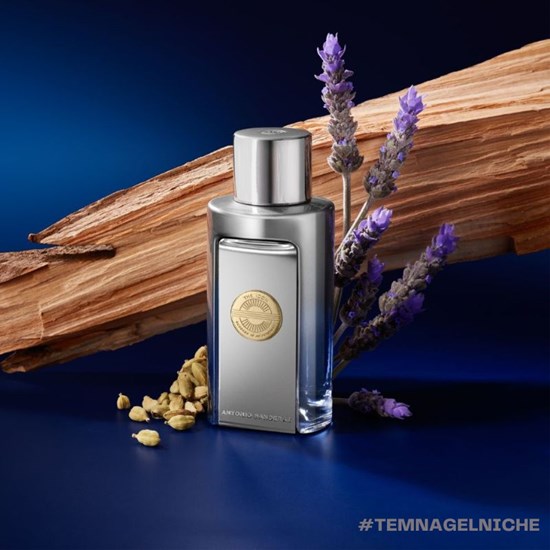 Perfume The Icon Elixir - Antonio Banderas - Masculino - Eau de Parfum - 100ml